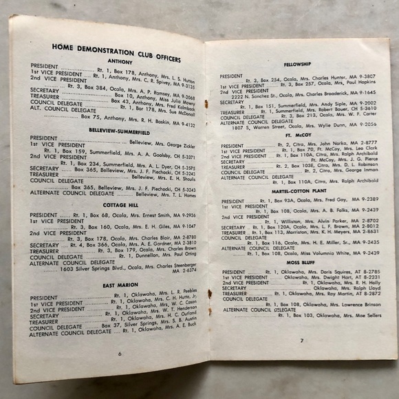 Vintage 1959 MARION COUNTY HOME DEMONSTRATION CLUBS Booklet - Picture 7 of 8